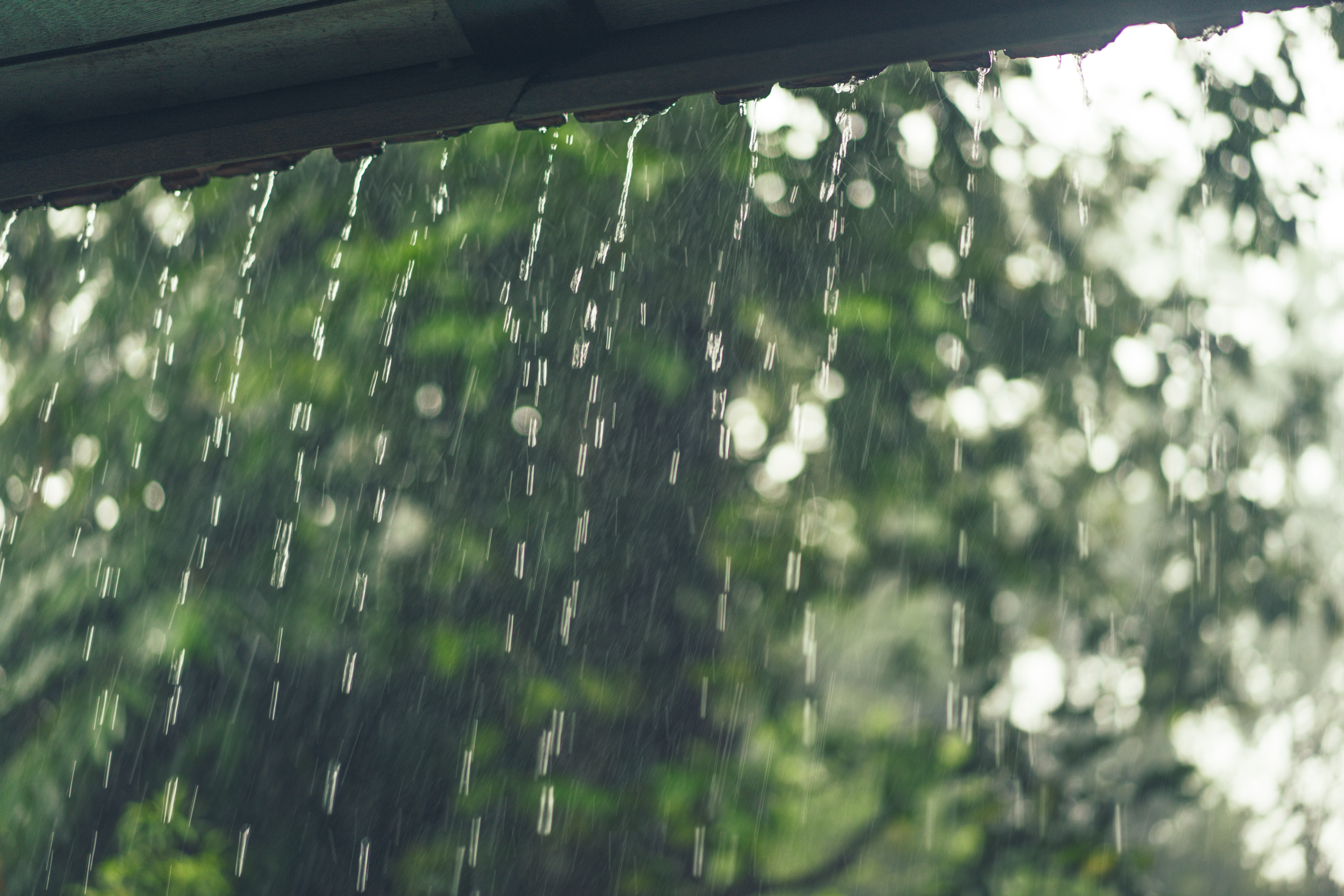 Rain Falling Down From The Roof Of A House In A Forest